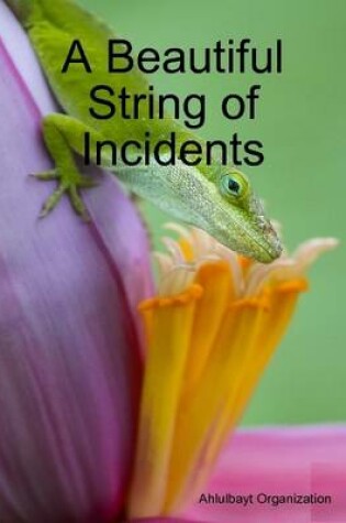 Cover of A Beautiful String of Incidents