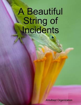 Book cover for A Beautiful String of Incidents