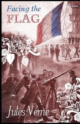 Book cover for Facing the Flag annotated