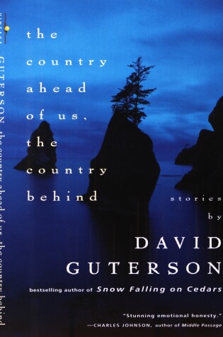 Cover of The Country Ahead of Us, The Country Behind