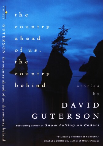 Book cover for The Country Ahead of Us, The Country Behind