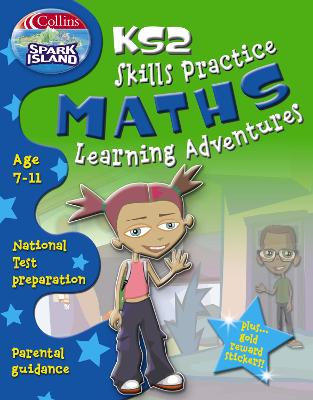 Book cover for Key Stage 2 Skills Practice Maths