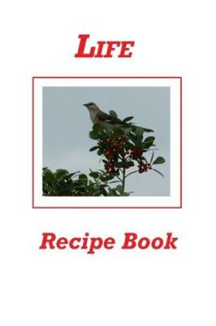 Cover of Life Recipe Book