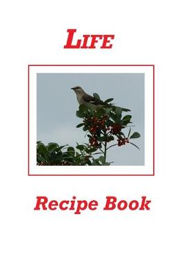 Book cover for Life Recipe Book