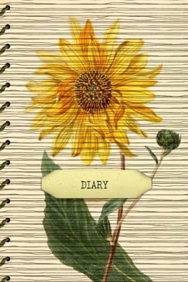 Book cover for Diary