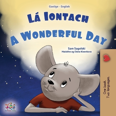 Book cover for A Wonderful Day (Irish English Bilingual Book for Kids)