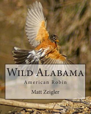Book cover for Wild Alabama