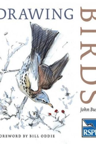 Cover of Drawing Birds