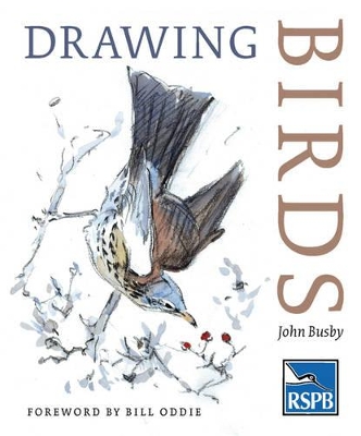 Book cover for Drawing Birds