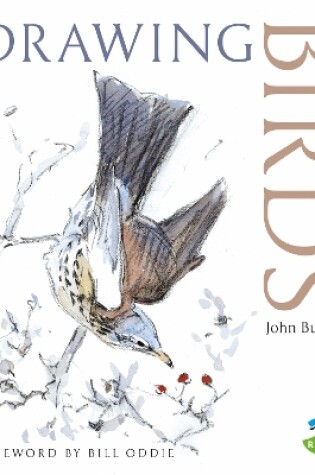 Cover of Drawing Birds