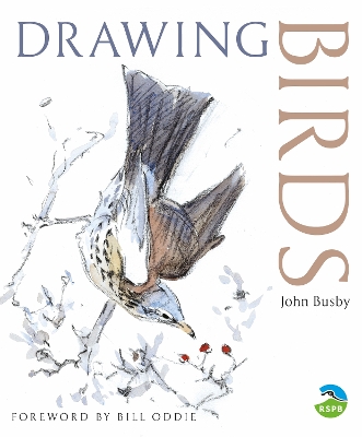 Cover of Drawing Birds