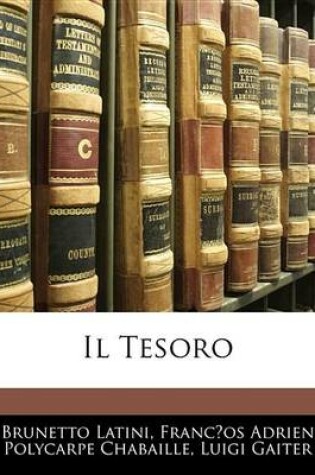 Cover of Il Tesoro