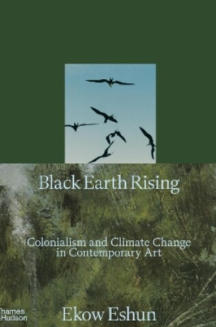 Cover of Black Earth Rising