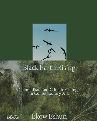 Book cover for Black Earth Rising