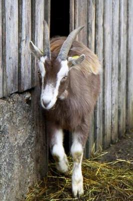 Book cover for Goat Sneaking Out of the Barn Journal