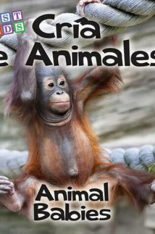 Cover of Cria de Animales / Animal Babies