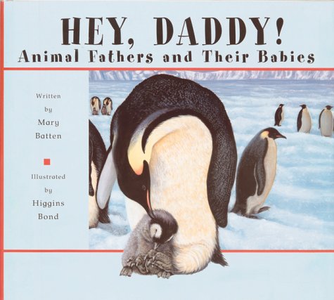 Book cover for Hey Daddy!