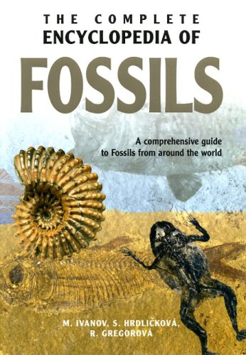 Cover of Complete Encyclopedia of Fossils