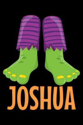 Book cover for Joshua