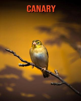 Book cover for Canary