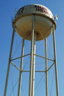 Book cover for Baldwin, Florida Water Tower