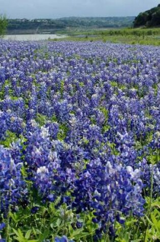 Cover of Austin, Texas Blue Bonnets, for the Love of Nature