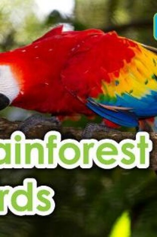 Cover of Rainforest Birds