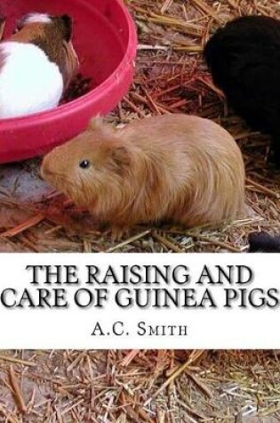 Cover of The Raising and Care of Guinea Pigs