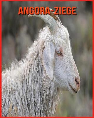 Book cover for Angora-Ziege