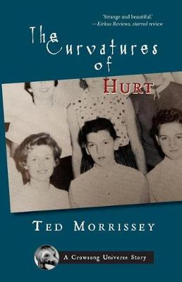 Book cover for The Curvatures of Hurt