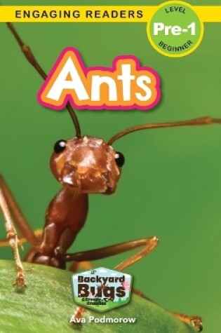 Cover of Ants