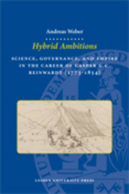 Cover of Hybrid Ambitions