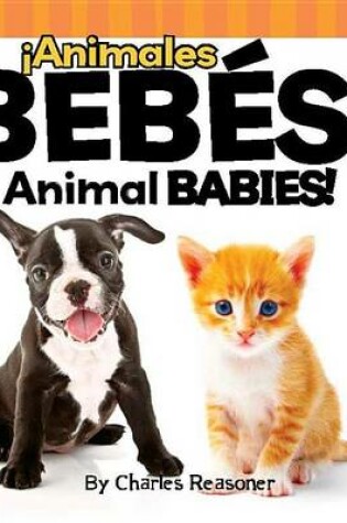 Cover of ¡animales Bebés!