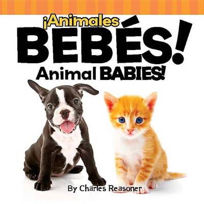 Book cover for ¡animales Bebés!