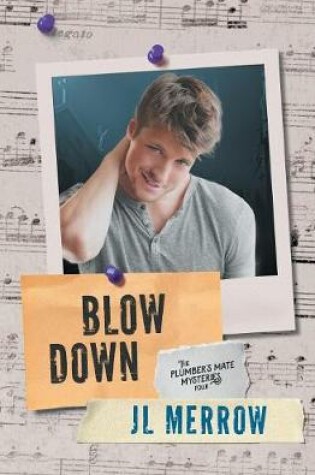 Cover of Blow Down