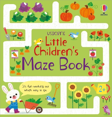 Book cover for Little Children's Maze Book