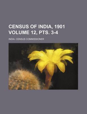 Book cover for Census of India, 1901 Volume 12, Pts. 3-4