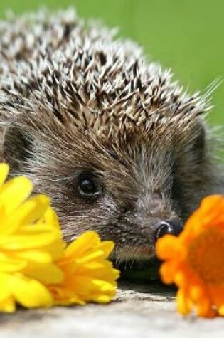 Cover of A Sweet Hedgehog With Some Flowers Cute Pet Portrait Journal