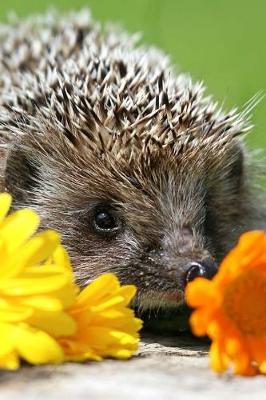 Book cover for A Sweet Hedgehog With Some Flowers Cute Pet Portrait Journal