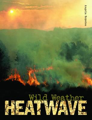 Book cover for Heatwave