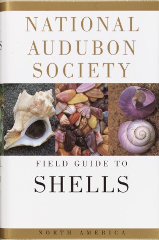 Cover of National Audubon Society Field Guide to Shells