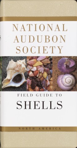 Book cover for National Audubon Society Field Guide to Shells