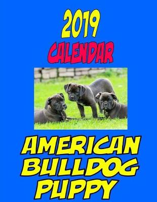 Book cover for 2019 Calendar American Bulldog Puppy