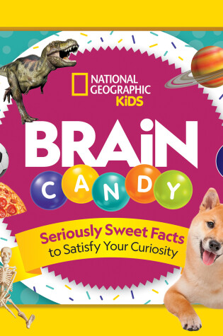 Cover of Brain Candy
