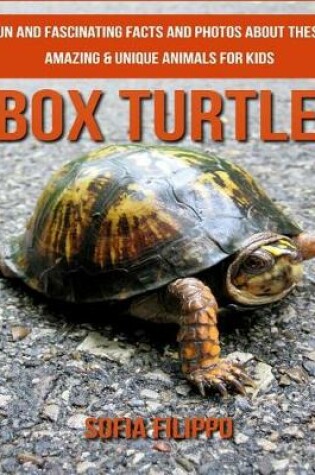 Cover of Box Turtle