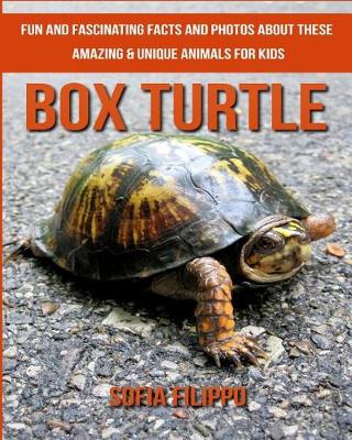 Book cover for Box Turtle