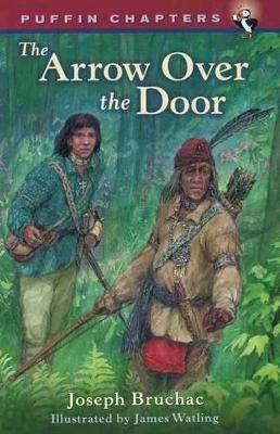 Book cover for Arrow Over the Door