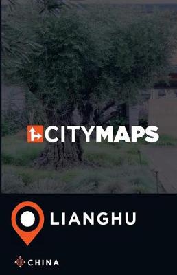 Book cover for City Maps Lianghu China