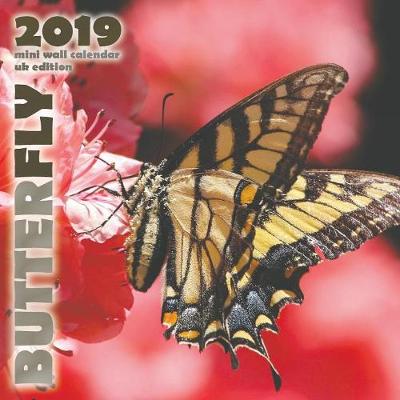Book cover for Butterfly 2019 Mini Wall Calendar (UK Edition)