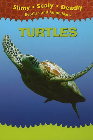 Cover of Turtles